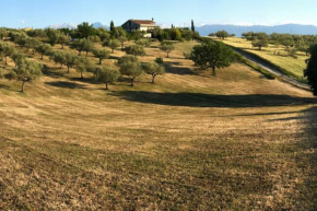 Villa Leone